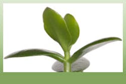 Industryweek Com Sites Industryweek com Files Uploads 2012 08 Defining Sustainabily Image Industryweek Com Sites Industryweek com Files Uploads 2012 08 Defining Sustainabily Image