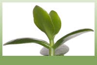 Industryweek Com Sites Industryweek com Files Uploads 2012 08 Defining Sustainabily Image Industryweek Com Sites Industryweek com Files Uploads 2012 08 Defining Sustainabily Image