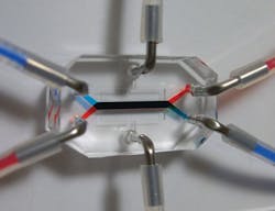 Industryweek Com Sites Industryweek com Files Uploads 2013 08 Organ Chip Industryweek Com Sites Industryweek com Files Uploads 2013 08 Organ Chip