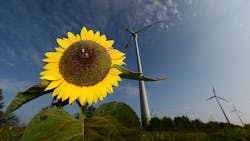 Industryweek Com Sites Industryweek com Files Uploads 2014 12 0 Sunflower Industryweek Com Sites Industryweek com Files Uploads 2014 12 0 Sunflower