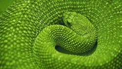 Industryweek Com Sites Industryweek com Files Uploads 2014 12 9 Green Snake Industryweek Com Sites Industryweek com Files Uploads 2014 12 9 Green Snake