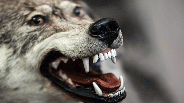 OSHA and the US Department of Justice announce a plan to prosecute employers who put workersrsquo lives at risk