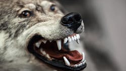 OSHA and the US Department of Justice announce a plan to prosecute employers who put workersrsquo lives at risk OSHA and the US Department of Justice announce a plan to prosecute employers who put workersrsquo lives at risk