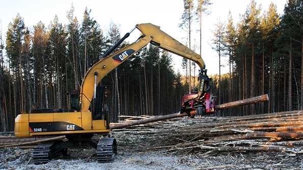Caterpillarrsquos Forest Products division manufactures machinery and attachments used in timber harvesting loading and processing The plant closing in northcentral Wisconsin may be sold according to the OEM