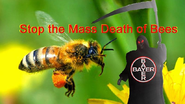 Bayer Urged to Stop Beekiller Pesticides