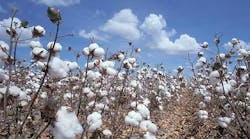 Industryweek 2583 Cotton