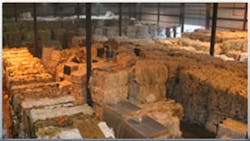 Next Life Inc Next Life Inc