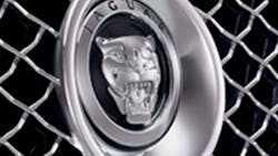Jaguar Jaguar