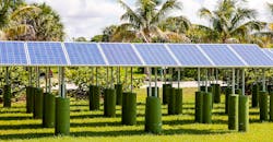 solar-panels-florida-getty.jpg solar-panels-florida-getty.jpg