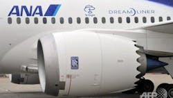 Travelers Worried by Dreamliner Glitches Travelers Worried by Dreamliner Glitches