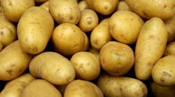 Industryweek 3608 Potatoes
