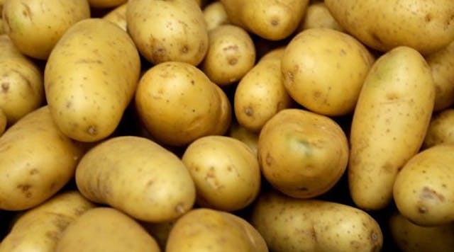 Industryweek 3608 Potatoes