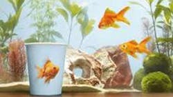 Huhtamaki Continues US Expansion Opening New Facility at Old Ford Plant Huhtamaki Continues US Expansion Opening New Facility at Old Ford Plant