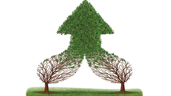 how to merge corporate cultures