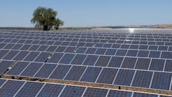 Solar Power Suntech Defaults on Debt Solar Power Suntech Defaults on Debt