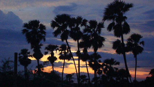 California regulations