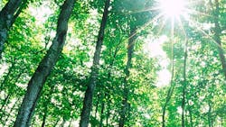 green energy green energy