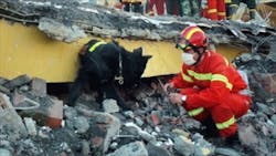 China Factory Blast Leaves 13 Dead China Factory Blast Leaves 13 Dead