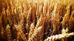 Industryweek 4518 Wheat