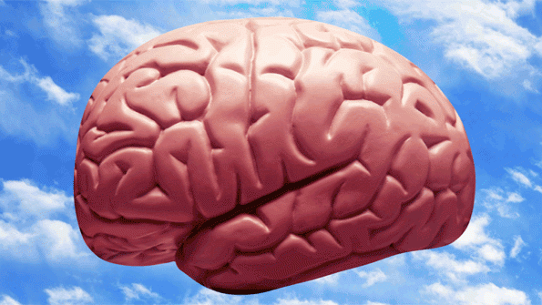 Leadership A Brain Game