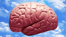 Leadership A Brain Game Leadership A Brain Game