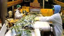 earthbound organic factory earthbound organic factory