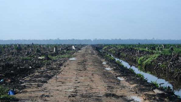 Russias Rosneft Seals Key Azerbaijan Oil and Gas Deal