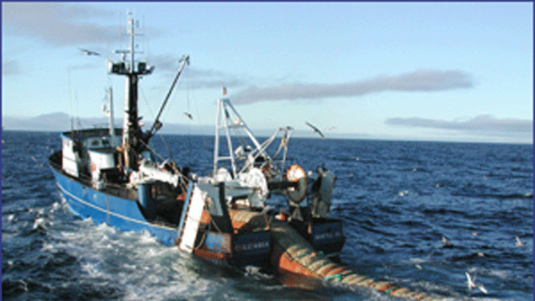 Seafood Processing Company to Expand in Georgia