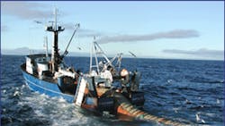 Seafood Processing Company to Expand in Georgia Seafood Processing Company to Expand in Georgia