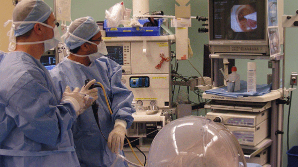 Regenerative Medicine Sees Advance in Gene Repair Technique