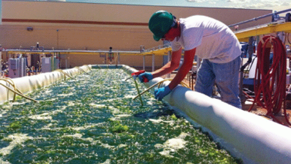 Biotechs Companys Vision of Creating an Industry Meets Reality