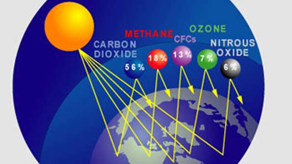 Supreme Greenhouse Challenge Set for Early 14