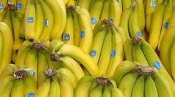 Industryweek 6310 Chiquita Fyffes Merger Create Top Banana Company
