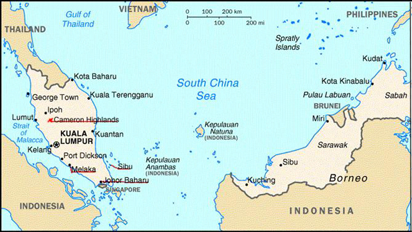 Malaysia Airlines Flight 370