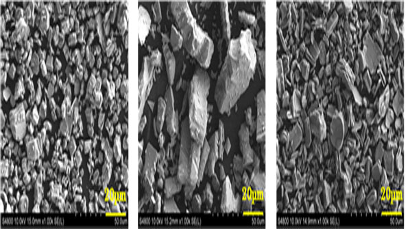 Automotive Ecofriendly Material Factory to Open in Georgia