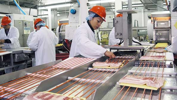 Tyson Foods pork production
