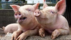 Swine WasteEnergy Facility Opens in North Carolina Swine WasteEnergy Facility Opens in North Carolina