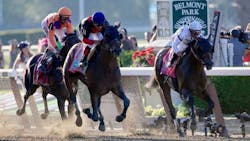 Hold Your Horses Tips for Retaining Top Talent Hold Your Horses Tips for Retaining Top Talent