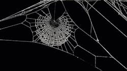 spider web spider web