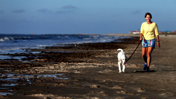 BP Ruled Grossly Negligent in 2010 Oil Spill