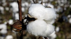 Industryweek 7492 Cotton G
