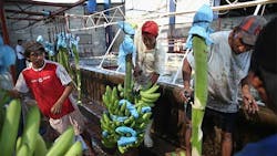 Copyright John Moore Getty Images Copyright John Moore Getty Images