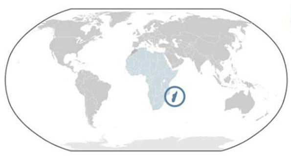 Anyone But the Chinese Madagascar Workers Demand New Masters