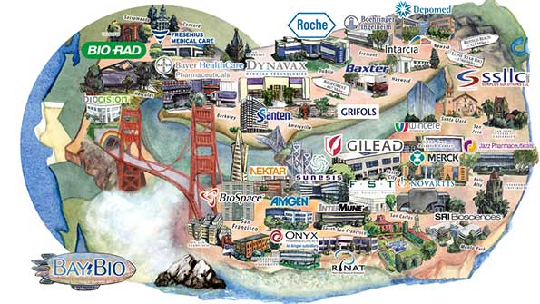 If You Build It They Will Come Industrial Clusters Fuel Economy