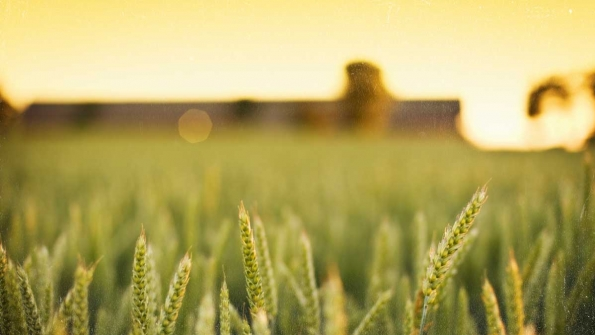 Missouri Looking for Agriculture Trade with Cuba