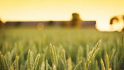 Missouri Looking for Agriculture Trade with Cuba Missouri Looking for Agriculture Trade with Cuba