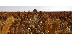 Monsanto Plans Jobs Cut Sees Lower Earnings Monsanto Plans Jobs Cut Sees Lower Earnings