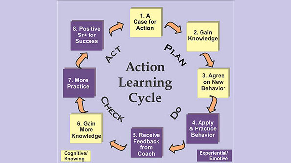 learning cycle