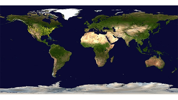 Protectionist Threat to Global Growth Says IMF