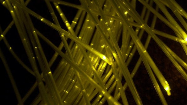 A visualization of data bandwidth